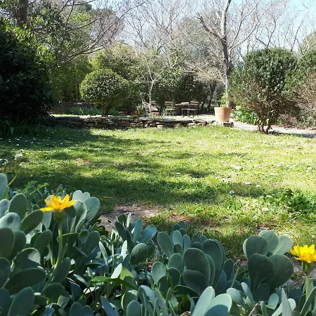 Aux Berges Du Pont Du Gard Bed & Breakfast