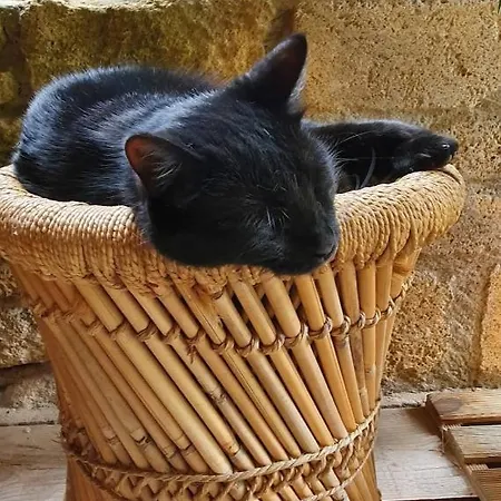 Aux Berges Du Pont Du Gard *