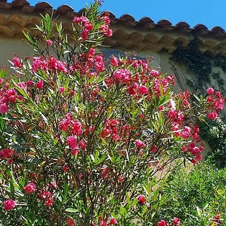 Aux Berges Du Pont Du Gard Bed & Breakfast