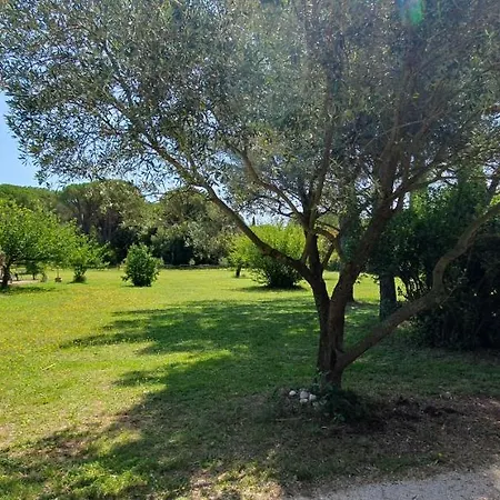 Aux Berges Du Pont Du Gard Bed & Breakfast *