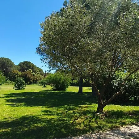 Aux Berges Du Pont Du Gard Alojamento de Acomodação e Pequeno-almoço 4*