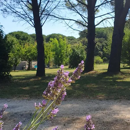 Aux Berges Du Pont Du Gard 4*