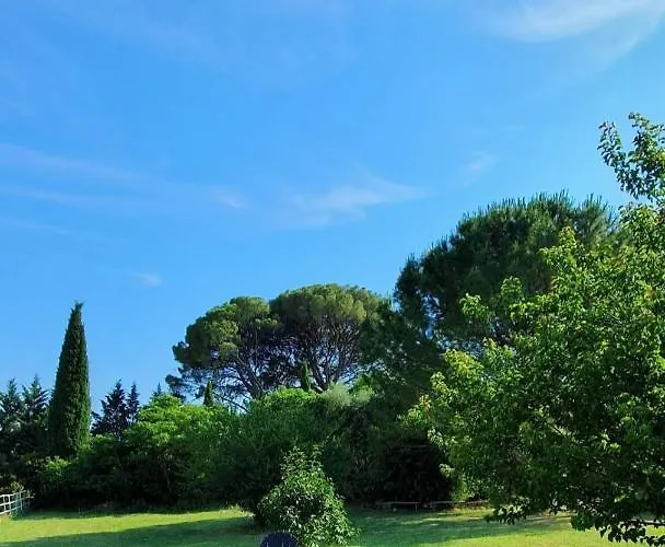 Aux Berges Du Pont Du Gard